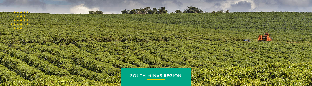 South Minas Region