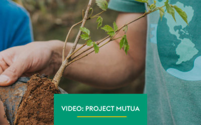 Video: Project Mutua – Forests and Springs