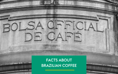 4 Historical facts about coffee in Brazil