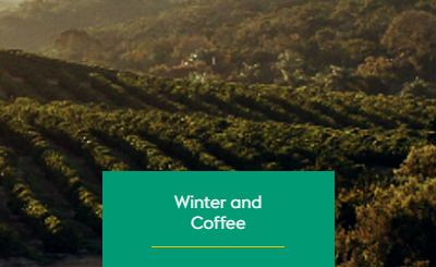 Winter and Coffee: Challenges and Cautions in Brazilian Production