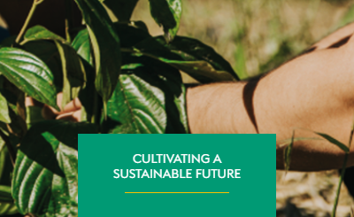 Cultivating a sustainable future: Atlantica Coffee’s commitment to the environment.
