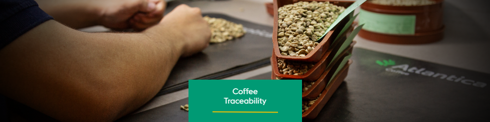 Coffee Traceability
