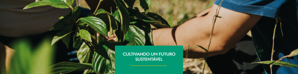 Cultivando um futuro sustentável: O compromisso da Atlantica Coffee com o meio ambiente.